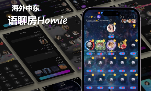海外社交语聊房Homie打造案例